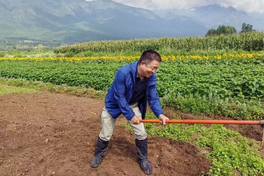 “粮食安全卫士”马占鸿——把顶尖植保技术用在家乡土地上